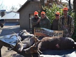 Kentucky deer hunting, western kentucky deer hunting, deer hunting, hunting, archery, Whitetail deer hunting, west ky whitetail hunting, kentucky whitetail outfitters, boone & crocket, food plots, deer food plots, chickory plots, lodging