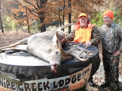 Kentucky deer hunting, western kentucky deer hunting, deer hunting, hunting, archery, Whitetail deer hunting, west ky whitetail hunting, kentucky whitetail outfitters, boone & crocket, food plots, deer food plots, chickory plots, lodging