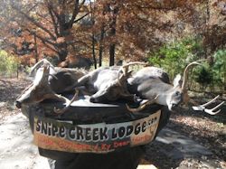 Kentucky deer hunting, western kentucky deer hunting, deer hunting, hunting, archery, Whitetail deer hunting, west ky whitetail hunting, kentucky whitetail outfitters, boone & crocket, food plots, deer food plots, chickory plots, lodging