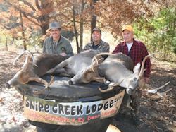 Kentucky deer hunting, western kentucky deer hunting, deer hunting, hunting, archery, Whitetail deer hunting, west ky whitetail hunting, kentucky whitetail outfitters, boone & crocket, food plots, deer food plots, chickory plots, lodging