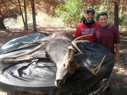 Kentucky deer hunting, western kentucky deer hunting, deer hunting, hunting, archery, Whitetail deer hunting, west ky whitetail hunting, kentucky whitetail outfitters, boone & crocket, food plots, deer food plots, chickory plots, lodging