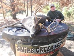 Kentucky deer hunting, western kentucky deer hunting, deer hunting, hunting, archery, Whitetail deer hunting, west ky whitetail hunting, kentucky whitetail outfitters, boone & crocket, food plots, deer food plots, chickory plots, lodging
