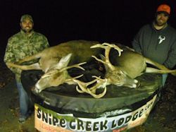 Kentucky deer hunting, western kentucky deer hunting, deer hunting, hunting, archery, Whitetail deer hunting, west ky whitetail hunting, kentucky whitetail outfitters, boone & crocket, food plots, deer food plots, chickory plots, lodging