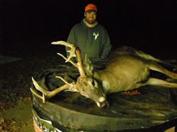 Kentucky deer hunting, western kentucky deer hunting, deer hunting, hunting, archery, Whitetail deer hunting, west ky whitetail hunting, kentucky whitetail outfitters, boone & crocket, food plots, deer food plots, chickory plots, lodging