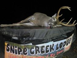 Kentucky deer hunting, western kentucky deer hunting, deer hunting, hunting, archery, Whitetail deer hunting, west ky whitetail hunting, kentucky whitetail outfitters, boone & crocket, food plots, deer food plots, chickory plots, lodging