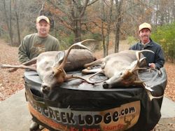 Kentucky deer hunting, western kentucky deer hunting, deer hunting, hunting, archery, Whitetail deer hunting, west ky whitetail hunting, kentucky whitetail outfitters, boone & crocket, food plots, deer food plots, chickory plots, lodging