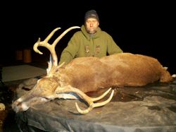 Kentucky deer hunting, western kentucky deer hunting, deer hunting, hunting, archery, Whitetail deer hunting, west ky whitetail hunting, kentucky whitetail outfitters, boone & crocket, food plots, deer food plots, chickory plots, lodging