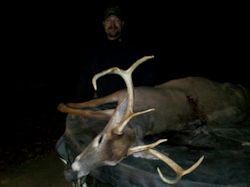 Kentucky deer hunting, western kentucky deer hunting, deer hunting, hunting, archery, Whitetail deer hunting, west ky whitetail hunting, kentucky whitetail outfitters, boone & crocket, food plots, deer food plots, chickory plots, lodging