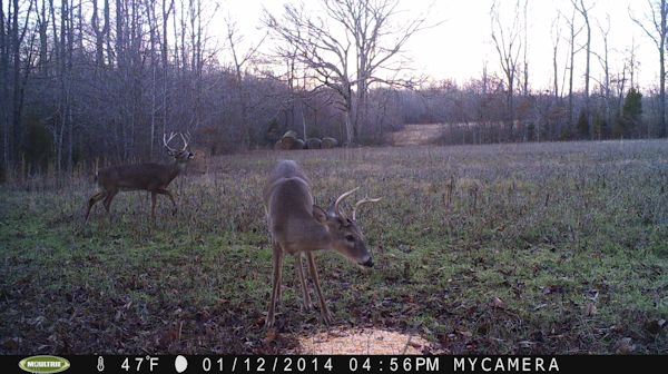 Hunting lodge in sebree ky