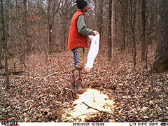 Kentucky turkey hunting, turkey hunts, ky turkey hunting, kentucky turkey hunting guide, places to hunt turkey in kentucky, where to hunt turkey in kentucky, western kentucky turkey hunts, turkey inventory, snipe creek turkey hunts, snipe creek hunting lodge turkey, kentucky turkey hunting spots