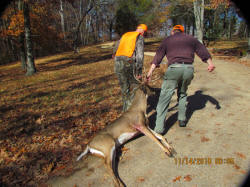 Kentucky deer hunting, western kentucky deer hunting, deer hunting, hunting, archery, Whitetail deer hunting, west ky whitetail hunting, kentucky whitetail outfitters, boone & crocket, food plots, deer food plots, chickory plots, lodging