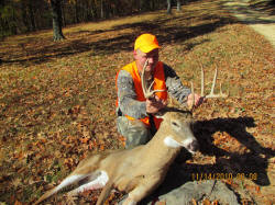 Kentucky deer hunting, western kentucky deer hunting, deer hunting, hunting, archery, Whitetail deer hunting, west ky whitetail hunting, kentucky whitetail outfitters, boone & crocket, food plots, deer food plots, chickory plots, lodging