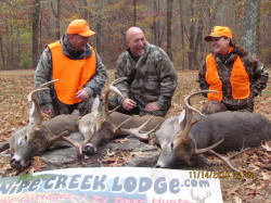 Kentucky deer hunting, western kentucky deer hunting, deer hunting, hunting, archery, Whitetail deer hunting, west ky whitetail hunting, kentucky whitetail outfitters, boone & crocket, food plots, deer food plots, chickory plots, lodging
