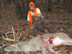 Kentucky deer hunting, western kentucky deer hunting, deer hunting, hunting, archery, Whitetail deer hunting, west ky whitetail hunting, kentucky whitetail outfitters, boone & crocket, food plots, deer food plots, chickory plots, lodging