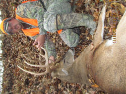 Kentucky deer hunting, western kentucky deer hunting, deer hunting, hunting, archery, Whitetail deer hunting, west ky whitetail hunting, kentucky whitetail outfitters, boone & crocket, food plots, deer food plots, chickory plots, lodging