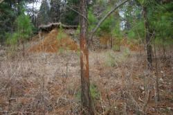 Kentucky deer hunting, western kentucky deer hunting, deer hunting, hunting, archery, Whitetail deer hunting, west ky whitetail hunting, kentucky whitetail outfitters, boone & crocket, property, hunting property, leased property, KY Property