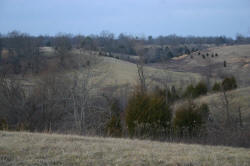 Kentucky deer hunting, western kentucky deer hunting, deer hunting, hunting, archery, Whitetail deer hunting, west ky whitetail hunting, kentucky whitetail outfitters, boone & crocket, property, hunting property, leased property, KY Property