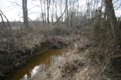 Kentucky deer hunting, western kentucky deer hunting, deer hunting, hunting, archery, Whitetail deer hunting, west ky whitetail hunting, kentucky whitetail outfitters, boone & crocket, property, hunting property, leased property, KY Property