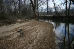Kentucky deer hunting, western kentucky deer hunting, deer hunting, hunting, archery, Whitetail deer hunting, west ky whitetail hunting, kentucky whitetail outfitters, boone & crocket, property, hunting property, leased property, KY Property