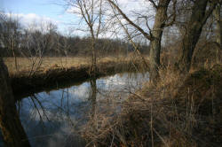 Kentucky deer hunting, western kentucky deer hunting, deer hunting, hunting, archery, Whitetail deer hunting, west ky whitetail hunting, kentucky whitetail outfitters, boone & crocket, property, hunting property, leased property, KY Property