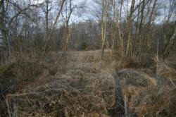 Kentucky deer hunting, western kentucky deer hunting, deer hunting, hunting, archery, Whitetail deer hunting, west ky whitetail hunting, kentucky whitetail outfitters, boone & crocket, property, hunting property, leased property, KY Property