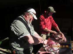 Kentucky deer hunting, western kentucky deer hunting, deer hunting, hunting, archery, Whitetail deer hunting, west ky whitetail hunting, kentucky whitetail outfitters, boone & crocket