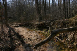 Kentucky deer hunting, western kentucky deer hunting, deer hunting, hunting, archery, Whitetail deer hunting, west ky whitetail hunting, kentucky whitetail outfitters, boone & crocket, property, hunting property, leased property, KY Property