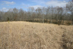 Kentucky deer hunting, western kentucky deer hunting, deer hunting, hunting, archery, Whitetail deer hunting, west ky whitetail hunting, kentucky whitetail outfitters, boone & crocket, property, hunting property, leased property, KY Property
