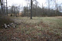 Kentucky deer hunting, western kentucky deer hunting, deer hunting, hunting, archery, Whitetail deer hunting, west ky whitetail hunting, kentucky whitetail outfitters, boone & crocket, property, hunting property, leased property, KY Property