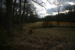 Kentucky deer hunting, western kentucky deer hunting, deer hunting, hunting, archery, Whitetail deer hunting, west ky whitetail hunting, kentucky whitetail outfitters, boone & crocket, property, hunting property, leased property, KY Property