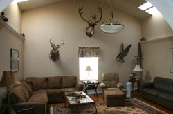Kentucky deer hunting, western kentucky deer hunting, deer hunting, hunting, archery, Whitetail deer hunting, west ky whitetail hunting, kentucky whitetail outfitters, boone & crocket, food plots, deer food plots, chickory plots, lodging