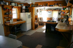 Kentucky deer hunting, western kentucky deer hunting, deer hunting, hunting, archery, Whitetail deer hunting, west ky whitetail hunting, kentucky whitetail outfitters, boone & crocket, food plots, deer food plots, chickory plots, lodging