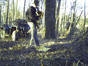 Kentucky deer hunting, western kentucky deer hunting, deer hunting, hunting, archery, Whitetail deer hunting, west ky whitetail hunting, kentucky whitetail outfitters, boone & crocket, food plots, deer food plots, chickory plots, lodging