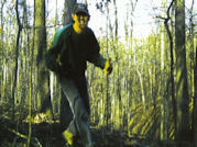 Kentucky deer hunting, western kentucky deer hunting, deer hunting, hunting, archery, Whitetail deer hunting, west ky whitetail hunting, kentucky whitetail outfitters, boone & crocket, food plots, deer food plots, chickory plots, lodging