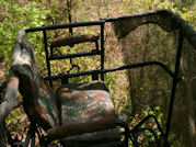 Kentucky deer hunting, western kentucky deer hunting, deer hunting, hunting, archery, Whitetail deer hunting, west ky whitetail hunting, kentucky whitetail outfitters, boone & crocket, food plots, deer food plots, chickory plots, lodging
