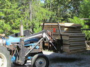 Kentucky deer hunting, western kentucky deer hunting, deer hunting, hunting, archery, Whitetail deer hunting, west ky whitetail hunting, kentucky whitetail outfitters, boone & crocket, food plots, deer food plots, chickory plots, lodging