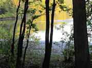 Kentucky deer hunting, western kentucky deer hunting, deer hunting, hunting, archery, Whitetail deer hunting, west ky whitetail hunting, kentucky whitetail outfitters, boone & crocket, food plots, deer food plots, chickory plots, lodging
