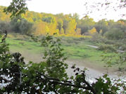 Kentucky deer hunting, western kentucky deer hunting, deer hunting, hunting, archery, Whitetail deer hunting, west ky whitetail hunting, kentucky whitetail outfitters, boone & crocket, food plots, deer food plots, chickory plots, lodging