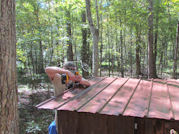 Kentucky deer hunting, western kentucky deer hunting, deer hunting, hunting, archery, Whitetail deer hunting, west ky whitetail hunting, kentucky whitetail outfitters, boone & crocket, food plots, deer food plots, chickory plots, lodging