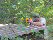 Kentucky deer hunting, western kentucky deer hunting, deer hunting, hunting, archery, Whitetail deer hunting, west ky whitetail hunting, kentucky whitetail outfitters, boone & crocket, food plots, deer food plots, chickory plots, lodging