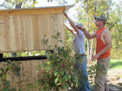 Kentucky deer hunting, western kentucky deer hunting, deer hunting, hunting, archery, Whitetail deer hunting, west ky whitetail hunting, kentucky whitetail outfitters, boone & crocket, food plots, deer food plots, chickory plots, lodging