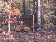 Kentucky deer hunting, western kentucky deer hunting, deer hunting, hunting, archery, Whitetail deer hunting, west ky whitetail hunting, kentucky whitetail outfitters, boone & crocket, food plots, deer food plots, chickory plots, lodging