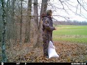 Kentucky deer hunting, western kentucky deer hunting, deer hunting, hunting, archery, Whitetail deer hunting, west ky whitetail hunting, kentucky whitetail outfitters, boone & crocket, food plots, deer food plots, chickory plots, lodging