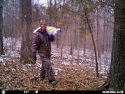 Kentucky deer hunting, western kentucky deer hunting, deer hunting, hunting, archery, Whitetail deer hunting, west ky whitetail hunting, kentucky whitetail outfitters, boone & crocket, food plots, deer food plots, chickory plots, lodging