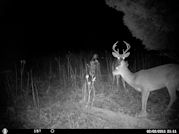 Kentucky deer hunting, western kentucky deer hunting, deer hunting, hunting, archery, Whitetail deer hunting, west ky whitetail hunting, kentucky whitetail outfitters, boone & crocket, food plots, deer food plots, chickory plots, lodging