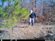 Kentucky deer hunting, western kentucky deer hunting, deer hunting, hunting, archery, Whitetail deer hunting, west ky whitetail hunting, kentucky whitetail outfitters, boone & crocket, food plots, deer food plots, chickory plots, lodging
